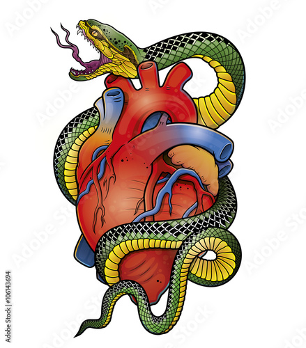 snake and anatomical heart