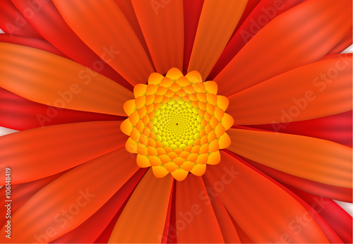 Bright red gerbera flower in bloom  a4 size illustration