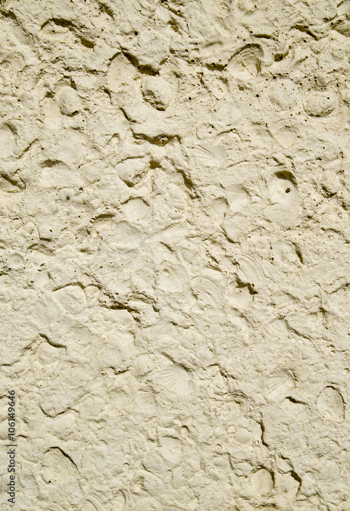Decorative plaster imitation shells limestone Decorative plaster imitation shells limestone