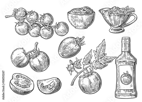 Set of hand drawn tomatoes. Tomato, half and slice, ketchup bottle, tomato sauce in a plate. Vector vintage engraved illustration isolated on white background.