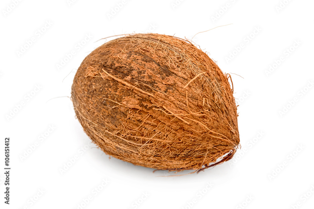 coconut isolated on white coconut isolated on white