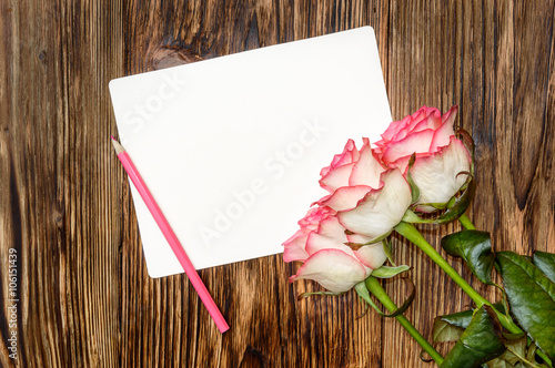 Greeting card. Roses with pink pencil and blank card