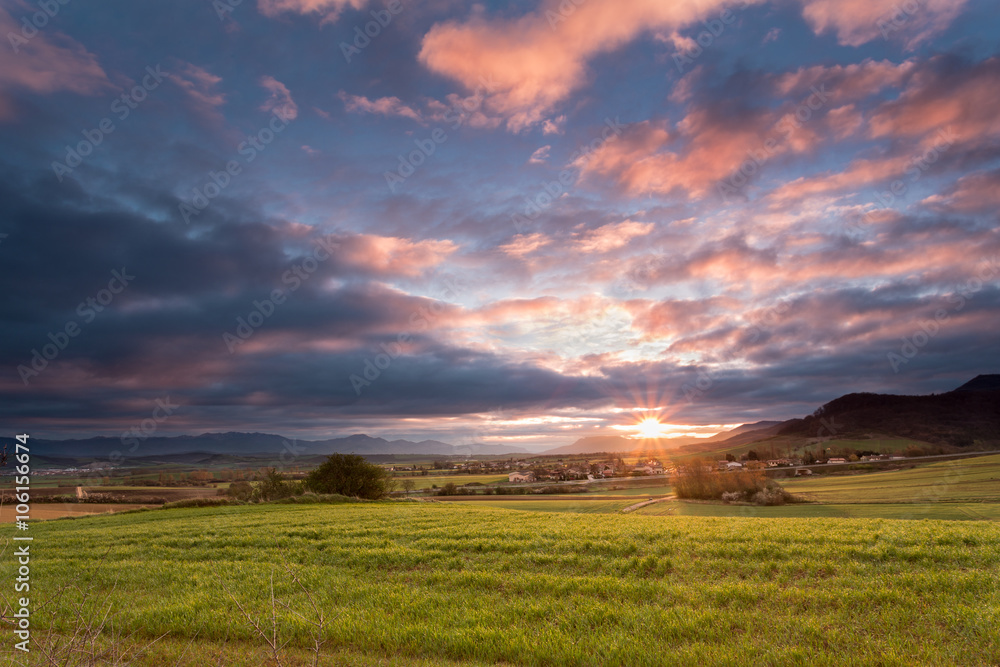 Obraz premium First rays of sun in a cereal field