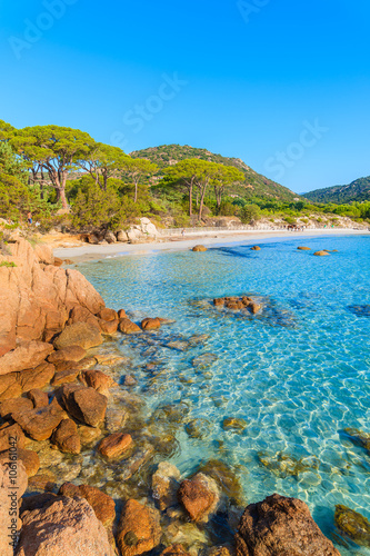 Sandy beautiful Palombaggia beach with azure sea water, Corsica island, France