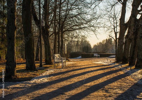 March morning in the Park of Pavlovsk.