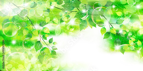 葉　新緑　木　背景