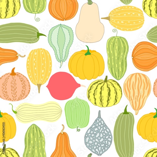 Pumpkin, squash seamless pattern