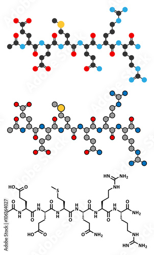 Acetyl hexapeptide-3 (argireline) molecule. 