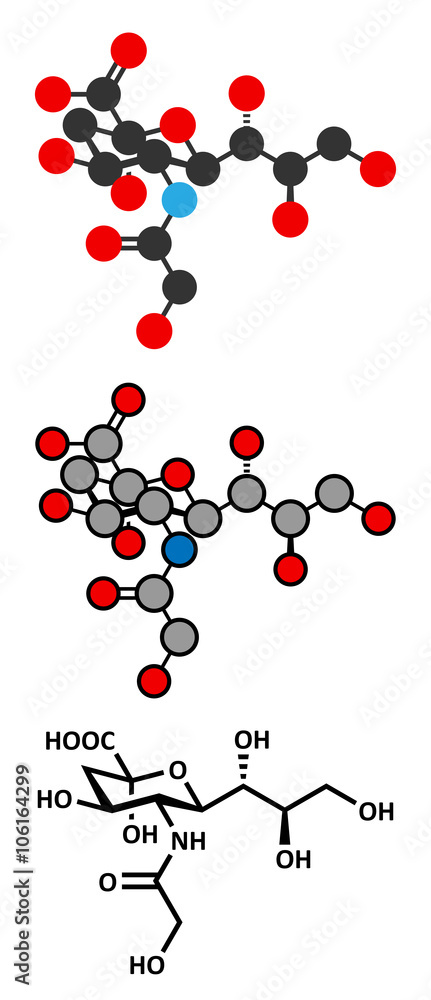 N-glycolylneuraminic acid (Neu5Gc) molecule. 