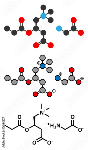 GPLC (glycine propionyl-L-carnitine) nutritional supplement molecule