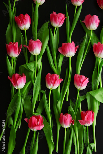 Wallpaper Mural Pink fresh tulips on the black table, top view Torontodigital.ca