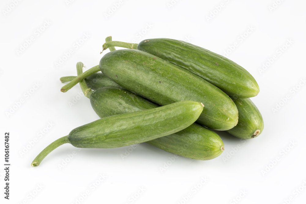 Salatalık Salatalık