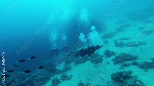 Wallpaper Mural Passing Few Divers Floats Group of Small Black Fishes Torontodigital.ca