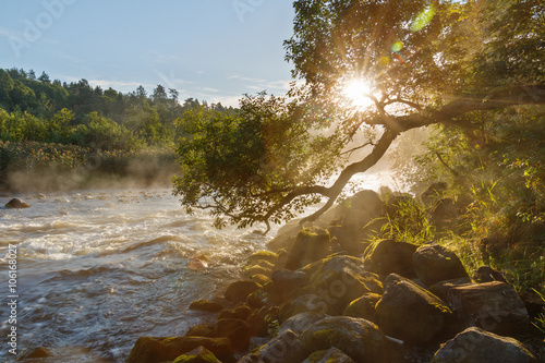 Bilde på lerret Morning summer landscape on the river with rapids and mist in Karelia on Ladoga