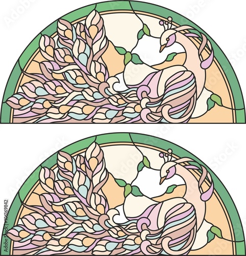 stained glass window peacock