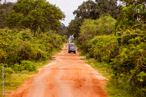 Safari jeep at jungle in Sri Lanka