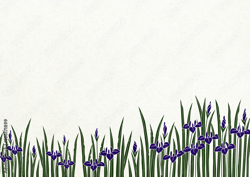 和風背景カキツバタ Stock イラスト Adobe Stock