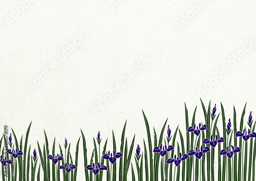 和風背景カキツバタ Stock イラスト Adobe Stock 和風背景カキツバタ Stock イラスト Adobe Stock