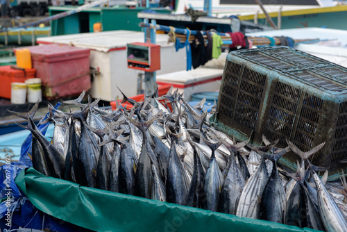 Trader's cart full of Tuna fish