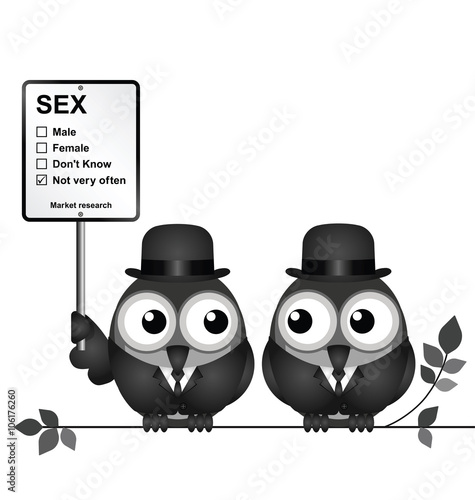 Market Research Sex