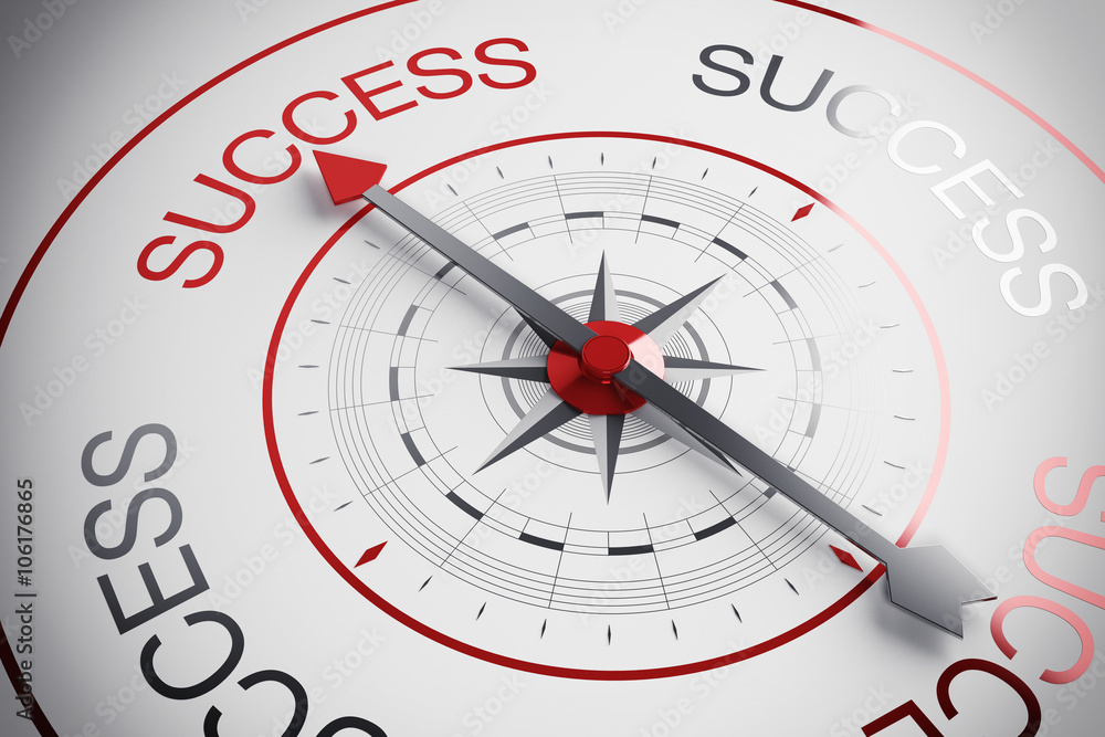 Success compass Success compass