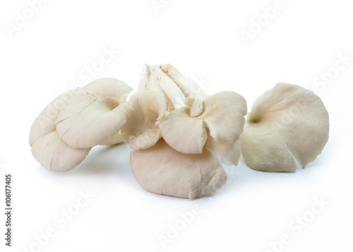 fresh mushrooms isolated on white background