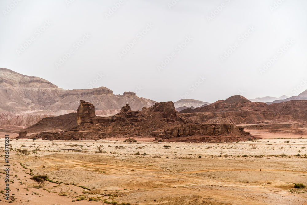 Beautiful red sandstone in the desert in Israel, Timna Park