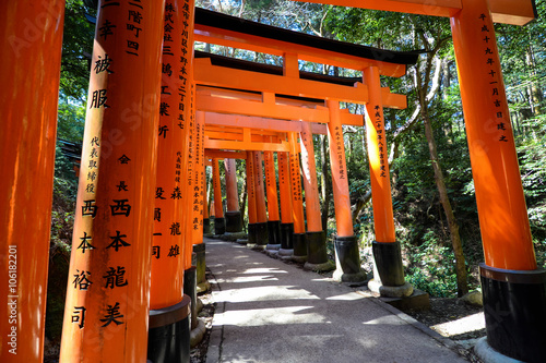Path through rows of red torii gates at Fushimi Inari-taisha in Kyoto, Japan
