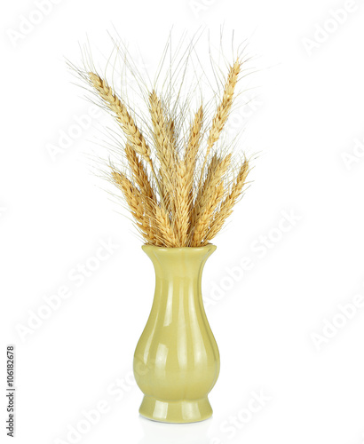 Eer of wheat in a vase isolated on white background