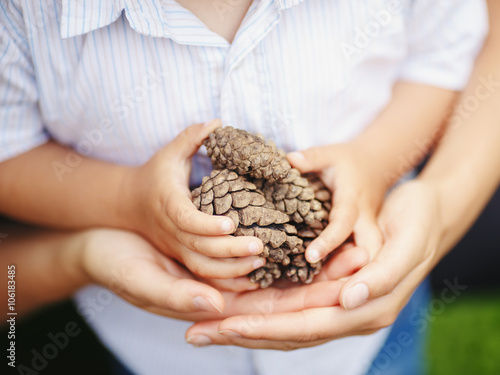 Closeup macro shot image of child with mother parent holding a bunch of pine cones, toned with Instagram filters, retro vintage style, film effect, selective focus, shallow depth of field