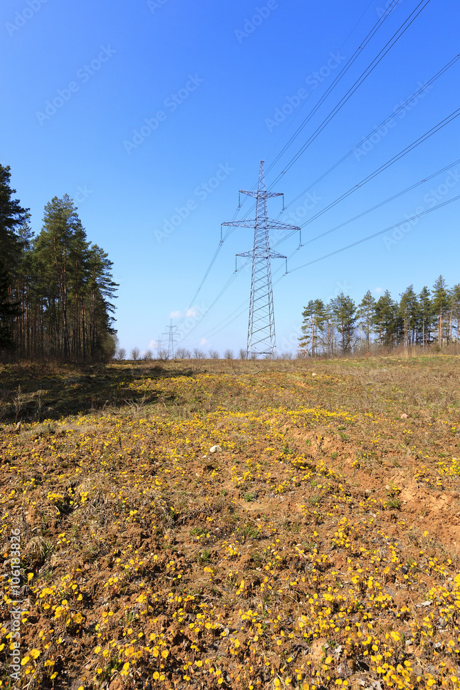 electric poles, rural  