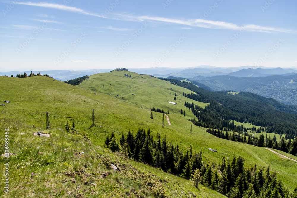 Obraz premium Beautiful meadow in Romanian Carpathians