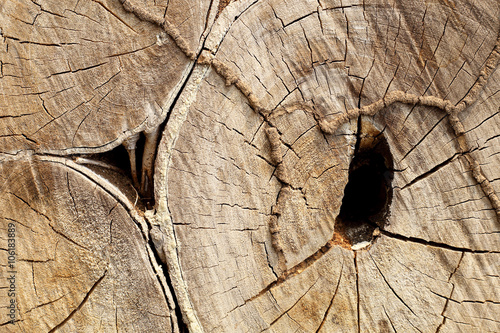 Natural wood surfaces