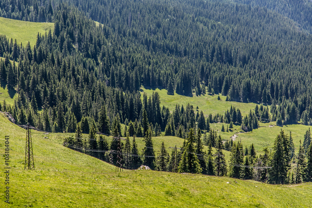 Beautiful meadow in Romanian Carpathians