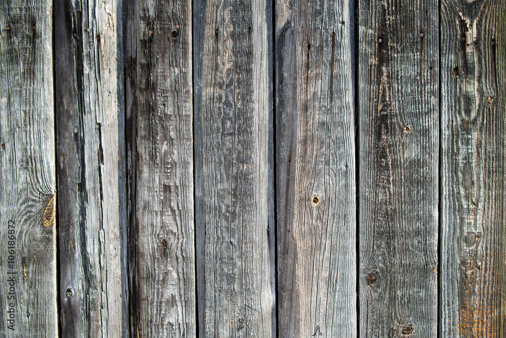 Fototapeta premium Grey old Wooden fence