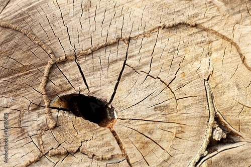 Natural wood surfaces