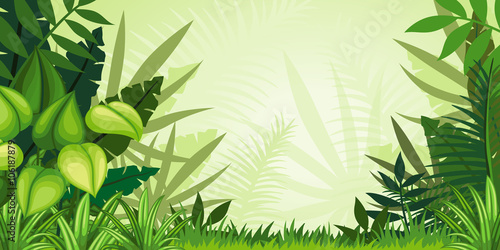 Illustration jungle landscape