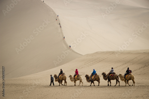 DUNHUANG,CHINA-MARCH 11: Group of tourists are riding camels in