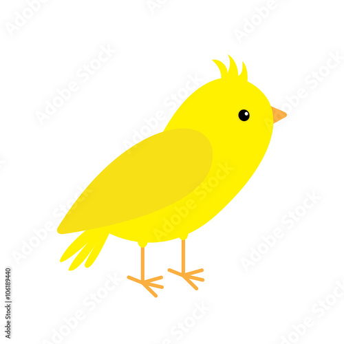 Canary bird. Yellow feather. White background. Isolated Flat design style.