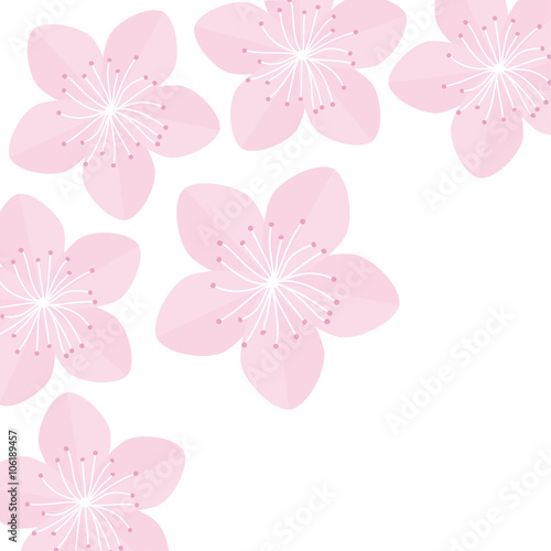 Sakura flowers. Japan blooming pink cherry blossom Isolated on white background Flat design