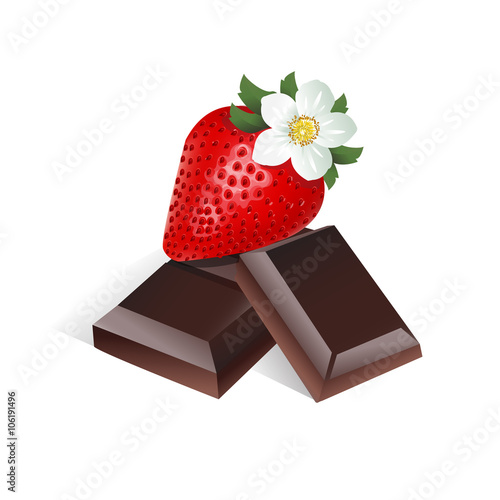 strawberries with chocolate and flower vector