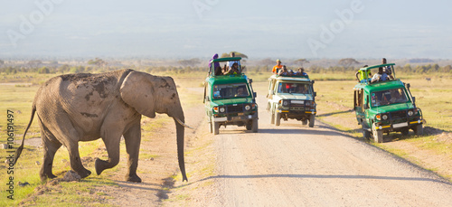 Tourists in safari jeeps watching and taking photos of big wild elephant crossing dirt roadi in Amboseli national park, Kenya. Panorama.