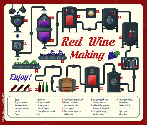 Wine making. How wine is made, wine elements, infographic