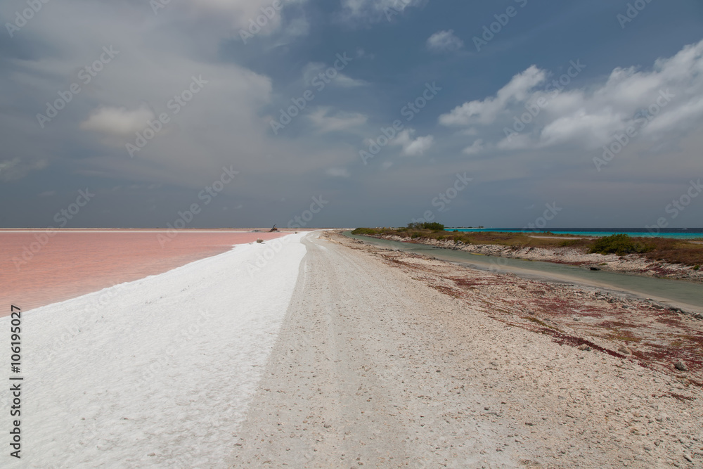 Fototapeta premium rose salt mining lake caribbean Bonaire island