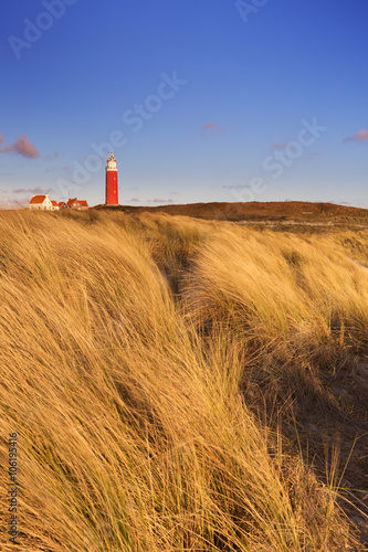 Lighthouse on Texel island in The Netherlands in morning light