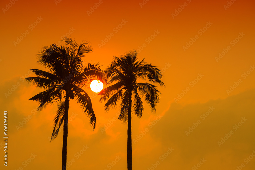 Two coconut trees and evening sun.
