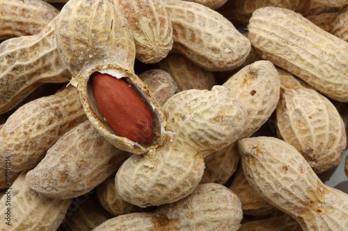 Canvas Print peanuts