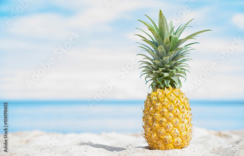 Pineapple on the beach with blue sky and sea background.