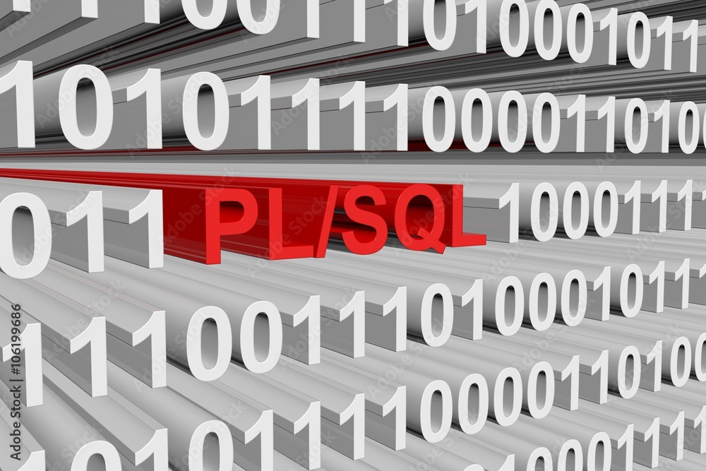 PL SQL is presented in the form of binary code