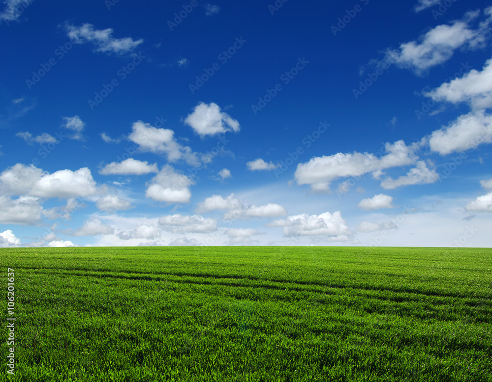 green field green field